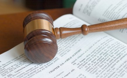 Dahl Family Law Group Child Support